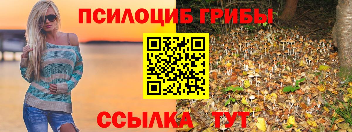 Псилоцибиновые грибы Psilocybe  Вход с VPN  Новомосковск 